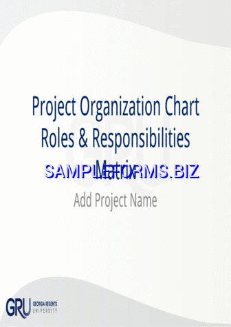 Project Organization Chart pdf ppt free